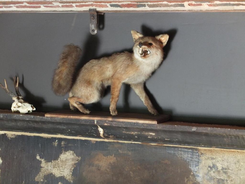 Les Confidences De Messire Sanglier, Stylished Guest Houses ボーレン 部屋 写真